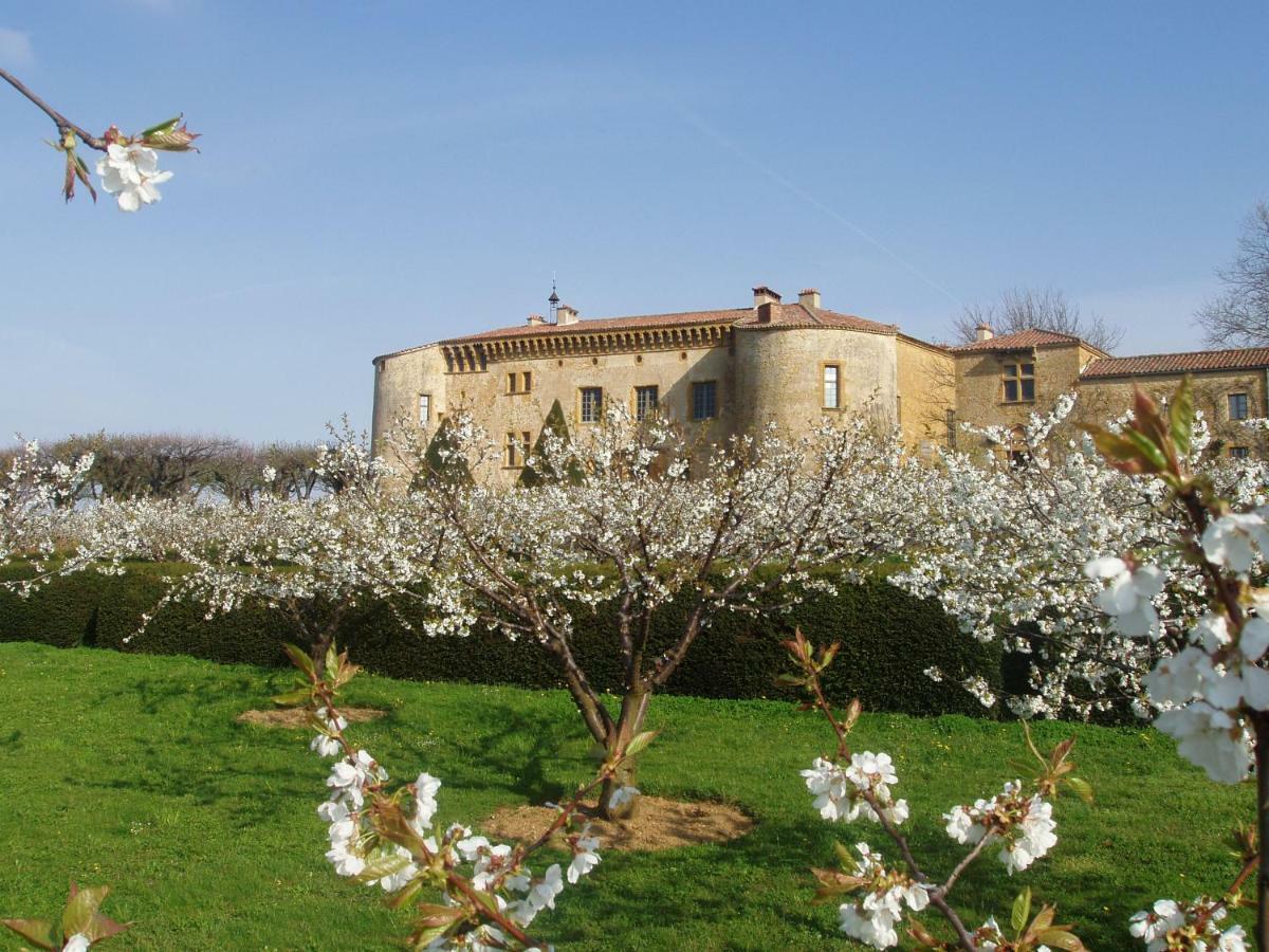 Chateau De Bagnols Bagian luar foto